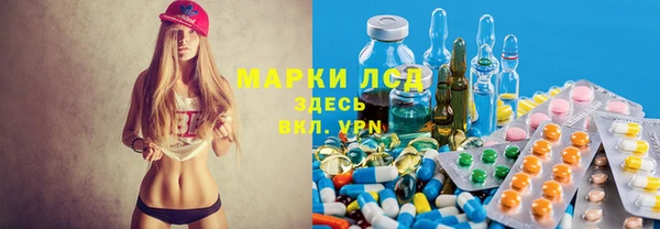 стаф Новосибирск