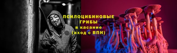 шишки Красноперекопск