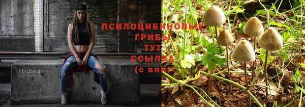 шишки Красноперекопск
