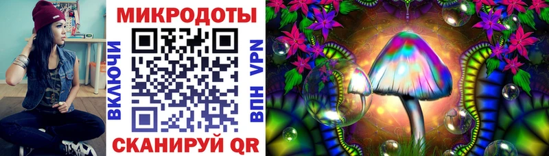 дарк нет официальный сайт  наркошоп  Ставрополь  Псилоцибиновые грибы GOLDEN TEACHER  blacksprut ONION 
