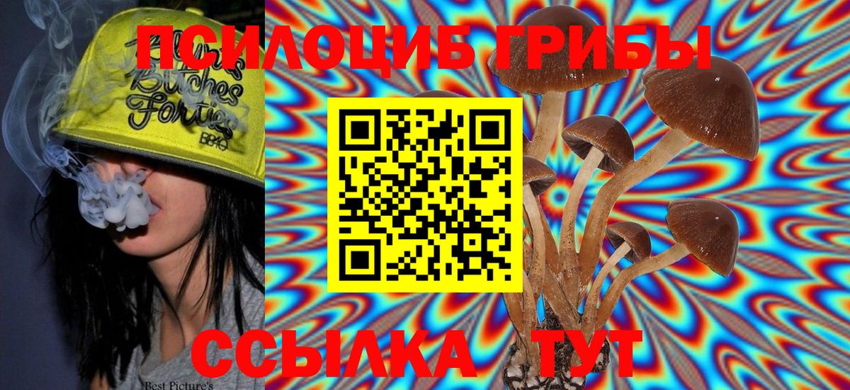 Псилоцибиновые грибы GOLDEN TEACHER  купить   Ставрополь 