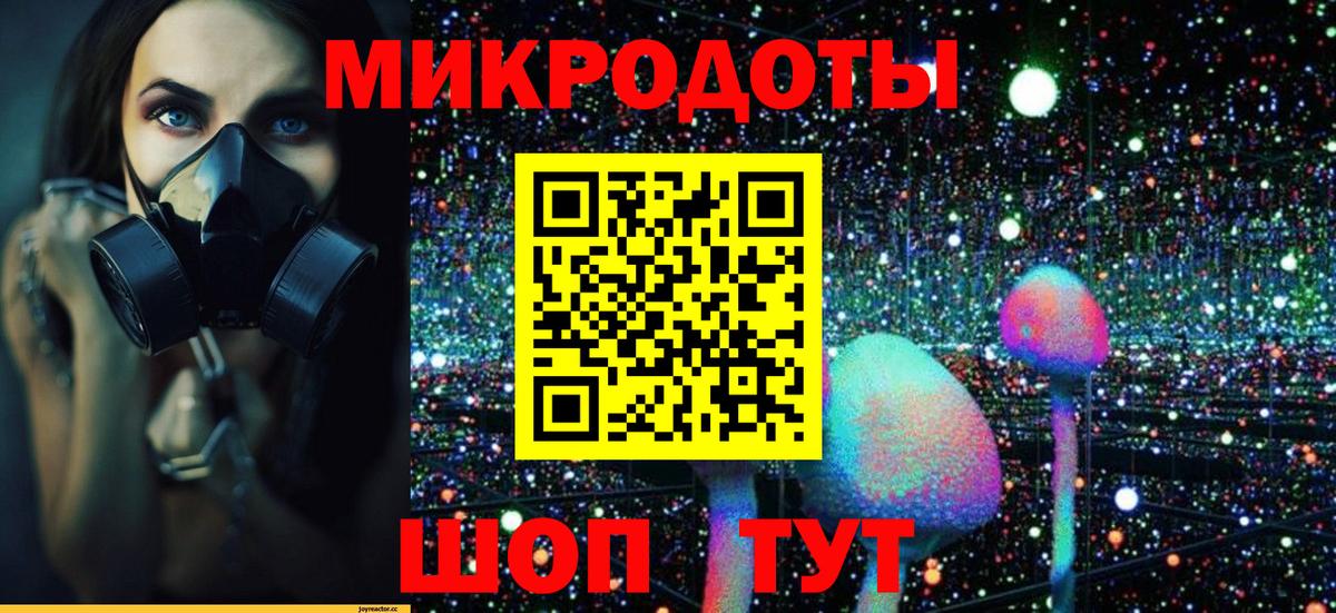 Ставрополь  Псилоцибиновые грибы Cubensis  Вход с VPN  Галлюциногенные грибы Magic Shrooms 